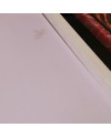 Bed Devon 603 White + Cream 180x200 [Clearance Sale Ex Display] Chandra karya
